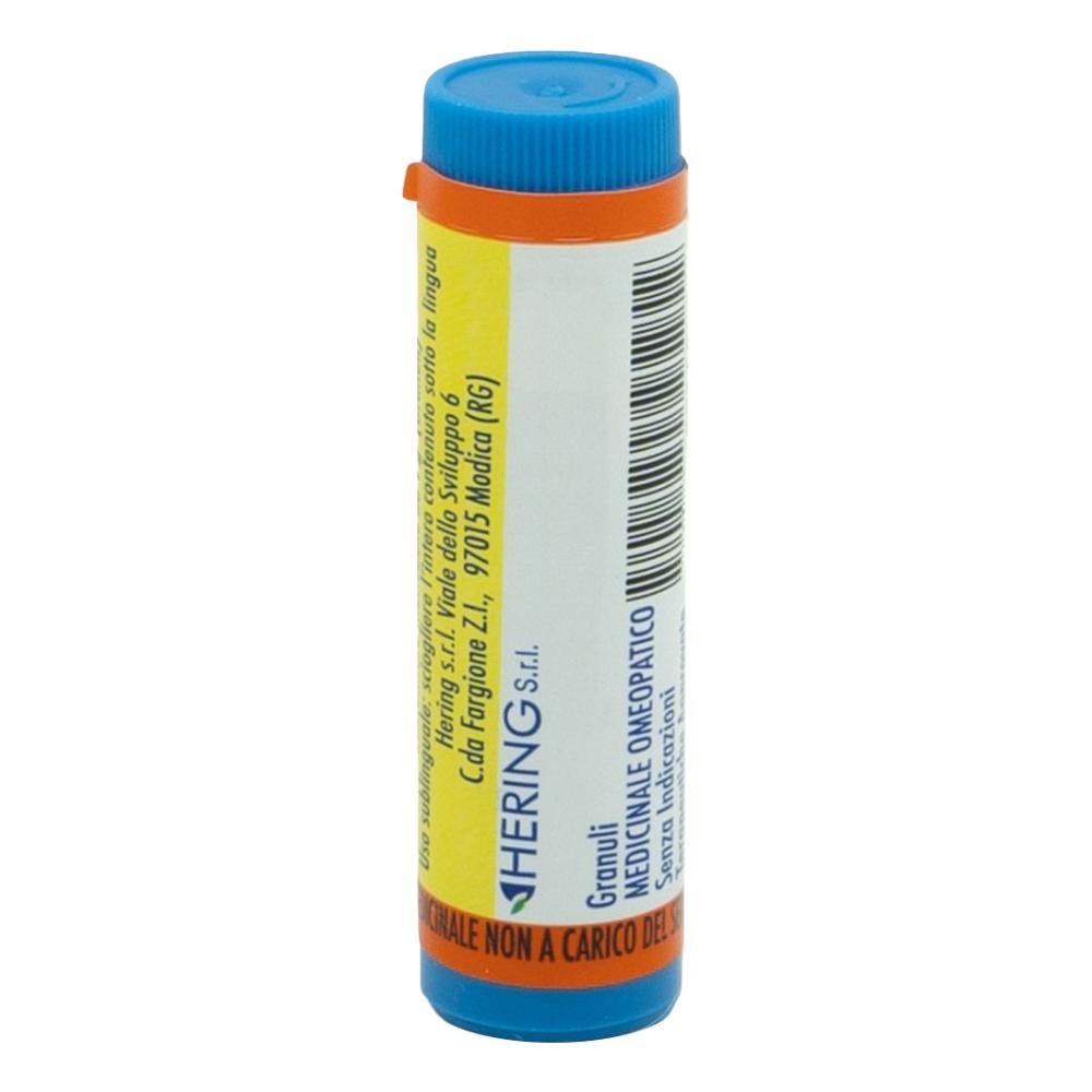 RHUS TOX*GLOB 200K SGL AIC