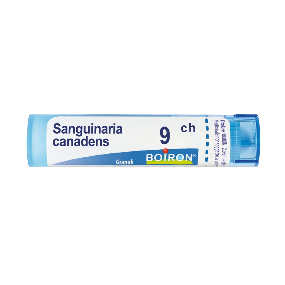 SANGUINARIA CAN.Tubo 9CH — confronto prezzi