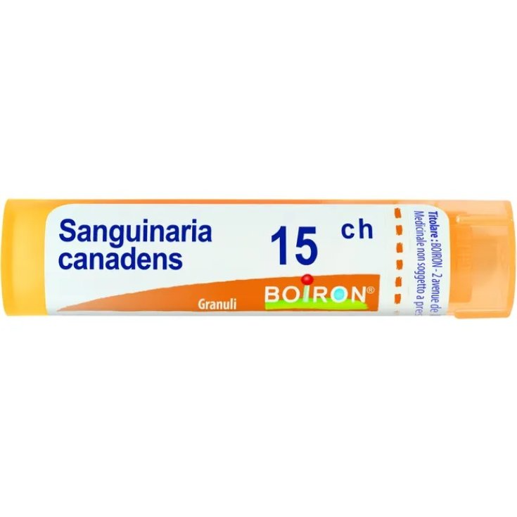 Sanguinaria c boi 15ch 80 gr 4 g