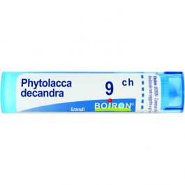 PHYTOLACCA DE BOI*9CH 80GR