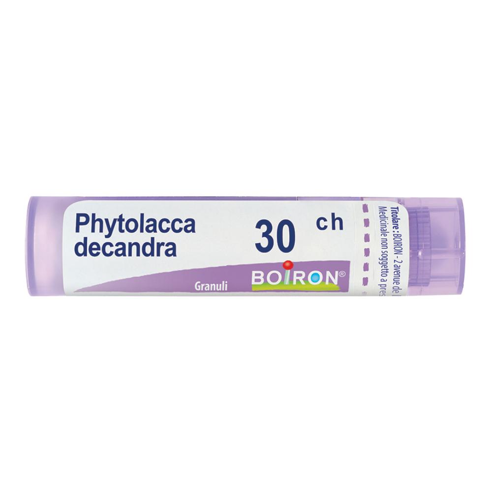PHYTOLACCA DE BOI*30CH 80GR