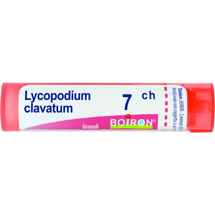 BO.LYCOPODIUM CLAVATUM*7CH 80G