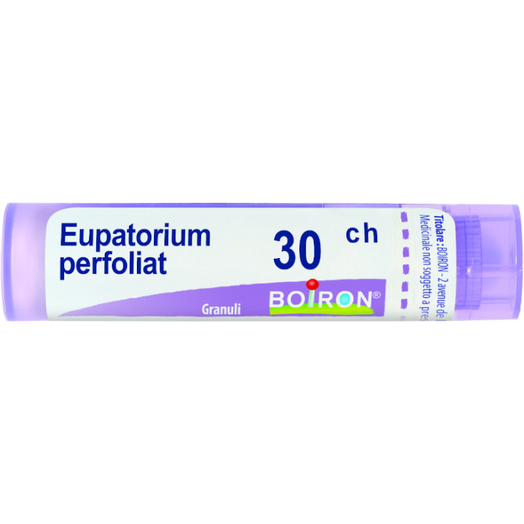 Eupatorium perfoliatum 30ch