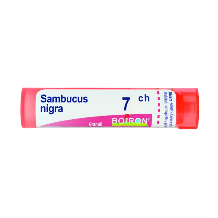 SAMBUCUS NIGRA Tubo 7CH
