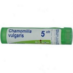 CHAMOMILLA VULGARIS 5CH 80GR