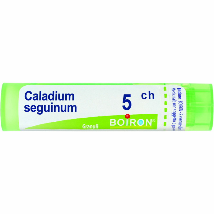 CALADIUM SEG.Tubo 5CH — confronto prezzi