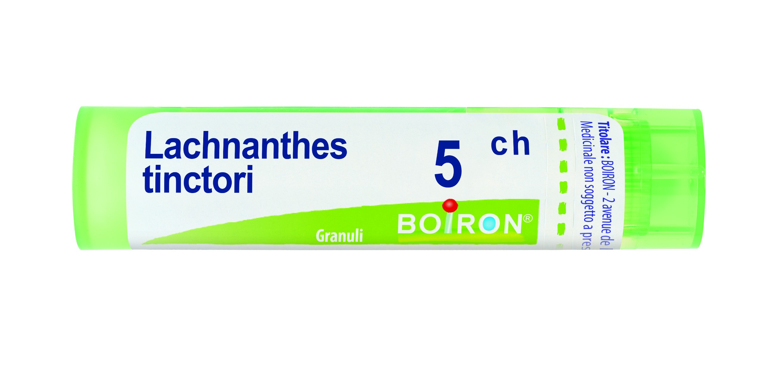 LACHNANTHES TINCTORIA Tubo 5CH — confronto prezzi
