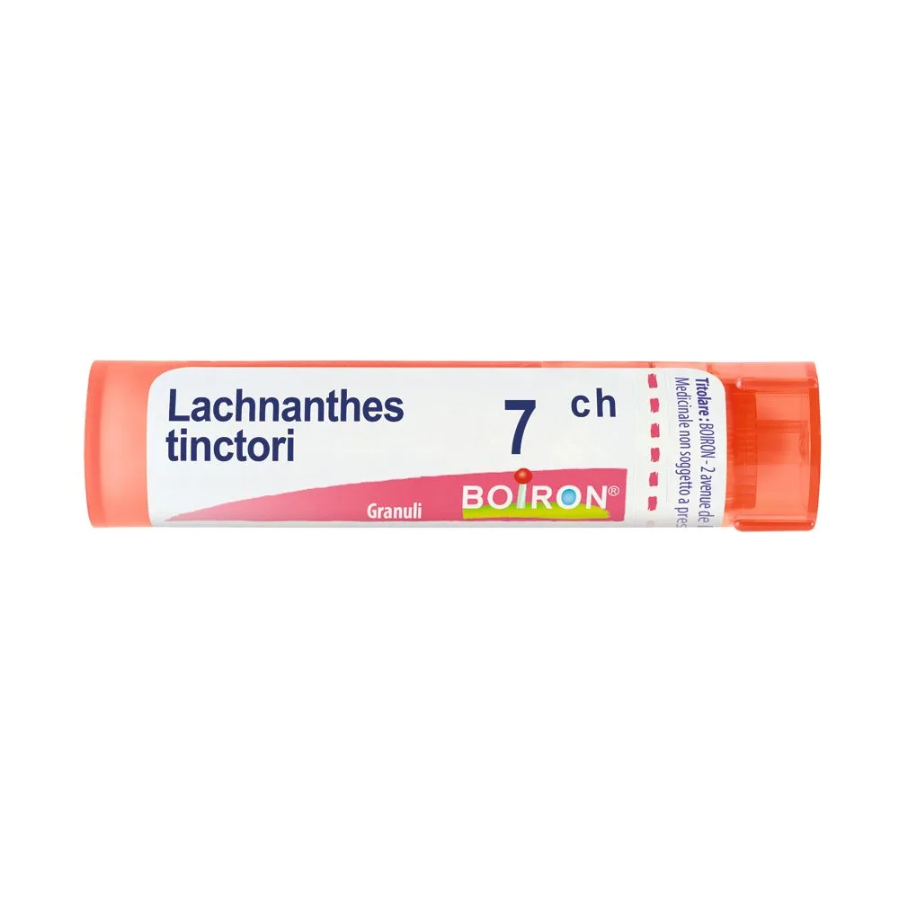 LACHNANTHES TINCT*GRAN 7CH 4G AIC