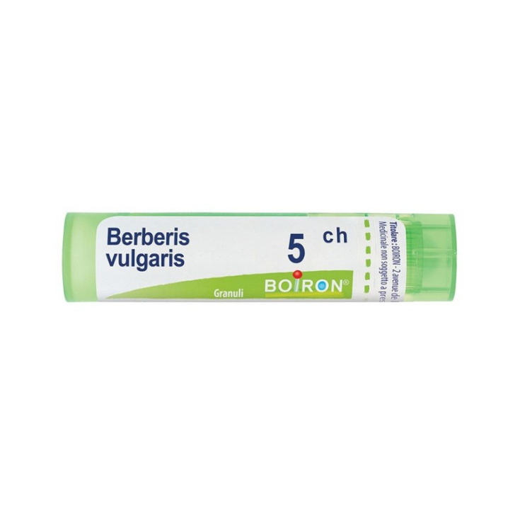 BERBERIS VULG BOI*5CH 80GR 4G