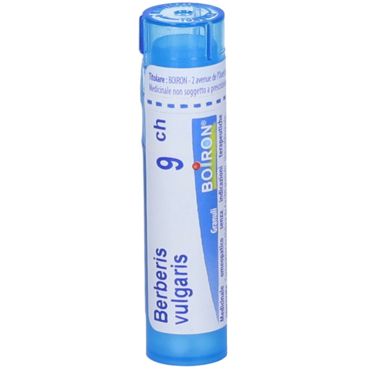 BERBERIS VULGARIS 9CH 80GR 4G BOIRON