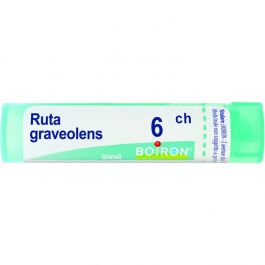 Ruta graveolens 6ch 80gr 4g