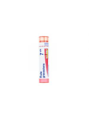 Ruta graveolens 7ch 80gr 4g