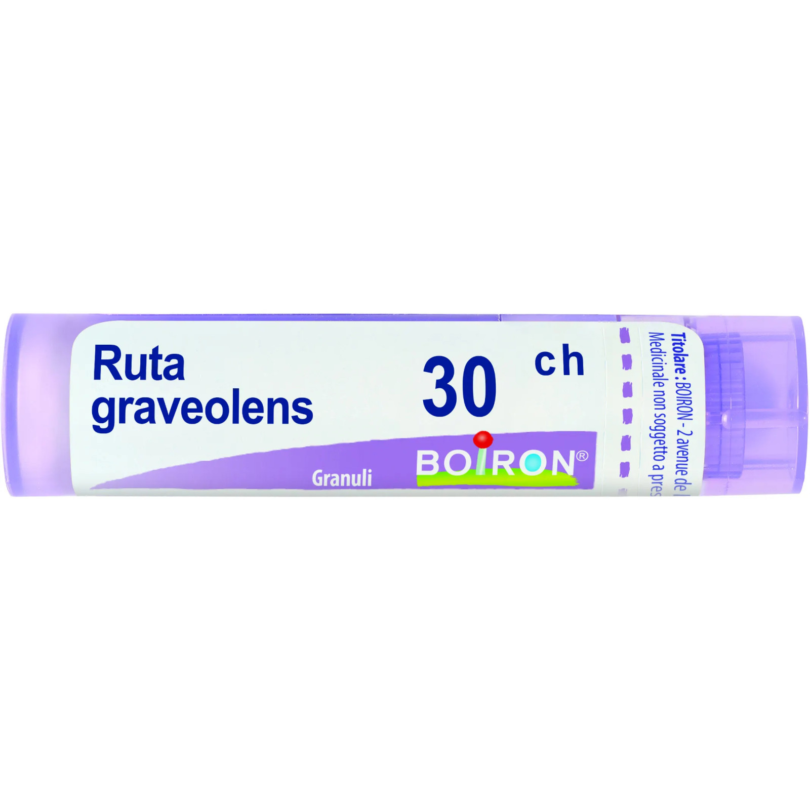 Ruta Graveolens*30Ch 80Gr 4G 4 g Granuli