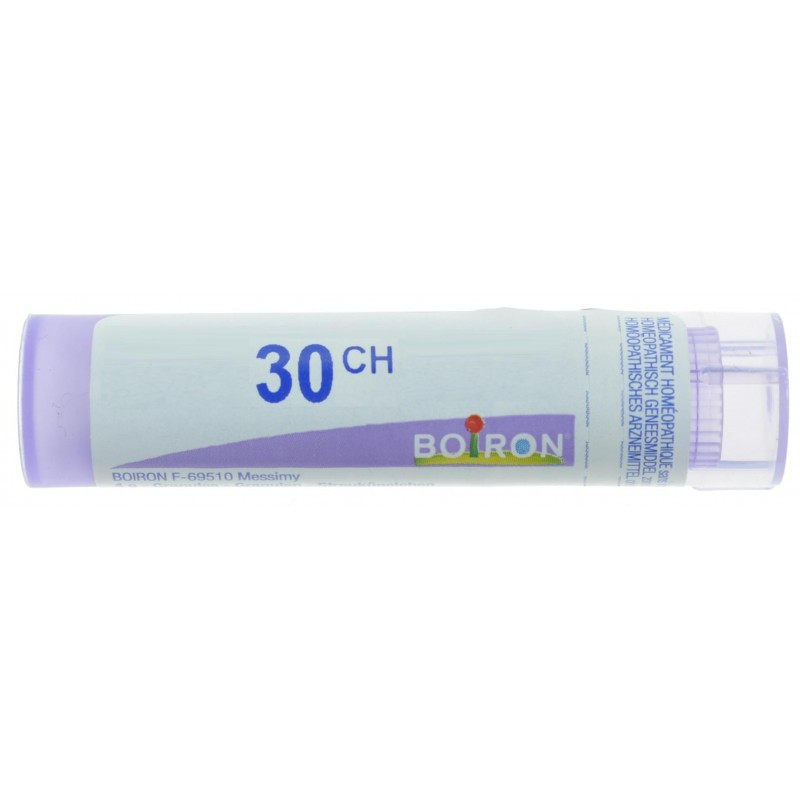 Colchicum autumnale 30ch 80gr