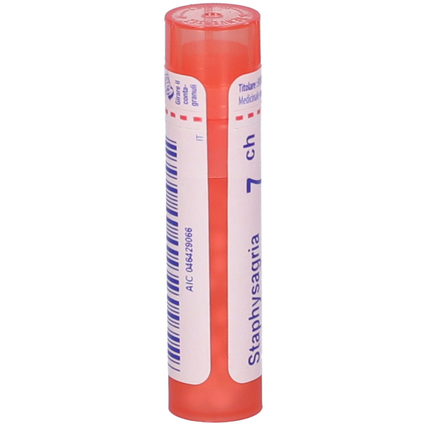 Staphysagria boi*7ch 80gr 4g