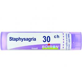 BOIRON® Spaphysagria 30ch 4 g Granuli