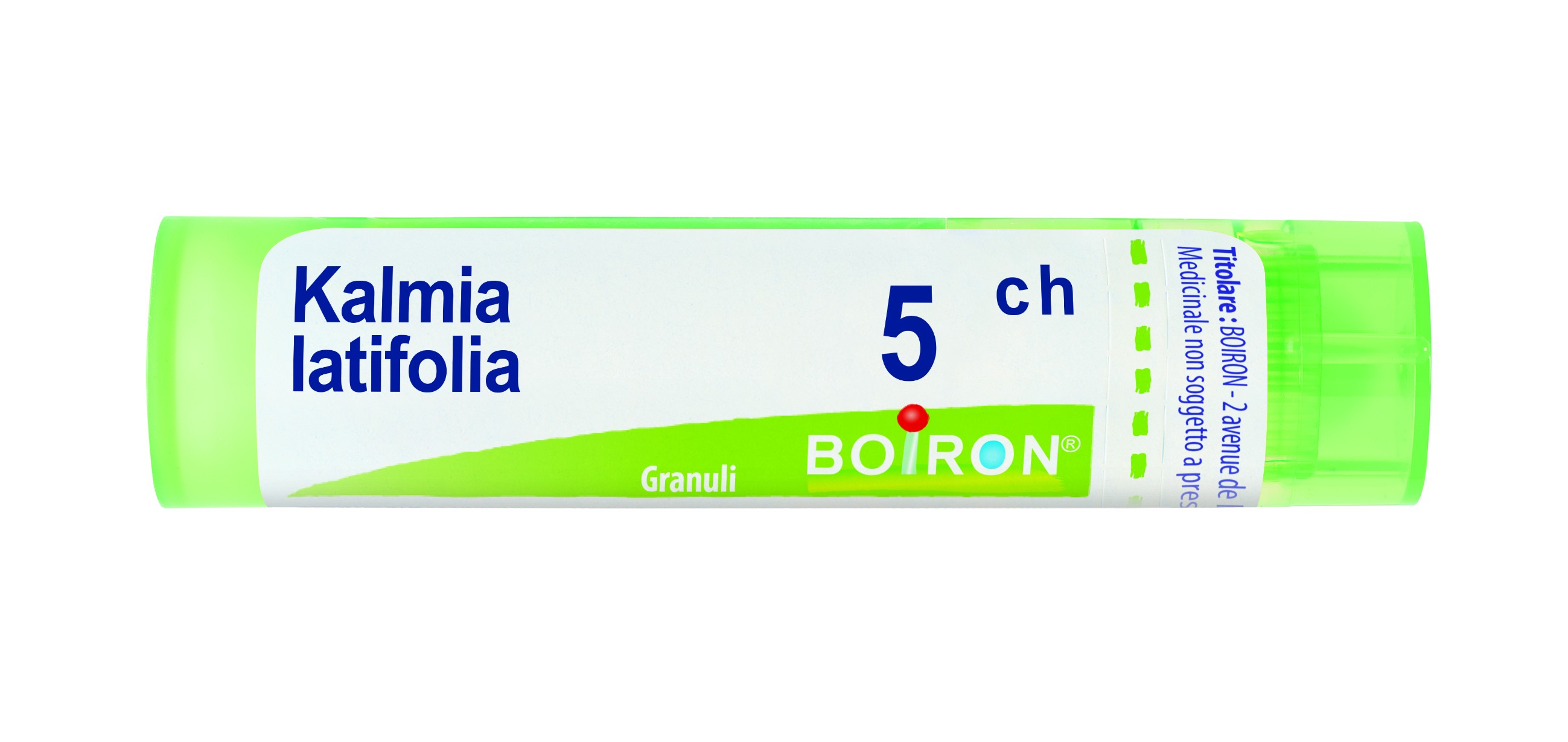 Kalmia latif boi 5ch 80gr 4g — confronto prezzi