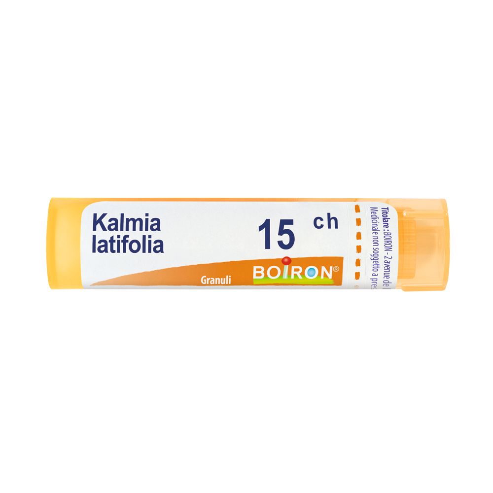 KALMIA LATIF BOI*15CH 80GR 4G