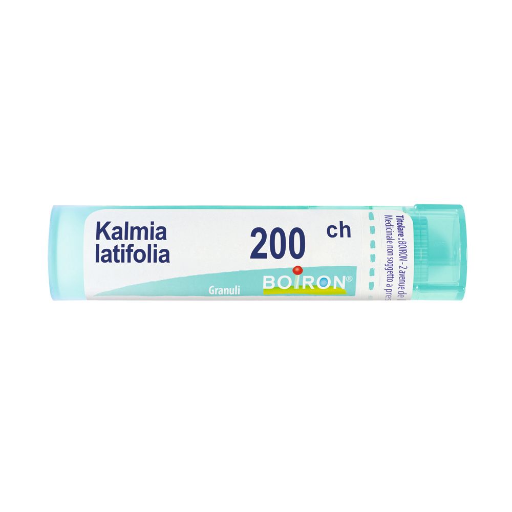 BO.KALMIA LATIFO*200CH 80GR 4G