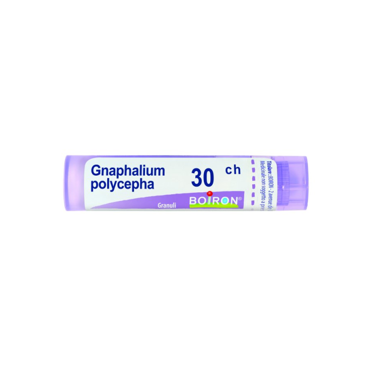 Gnaphalium polycephalum 80 granuli 30 ch contenitore multidose
