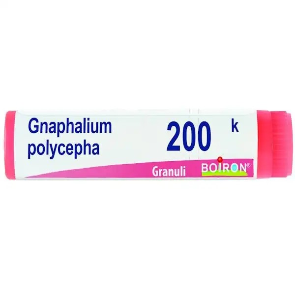 Gnaphalium p boi 200k