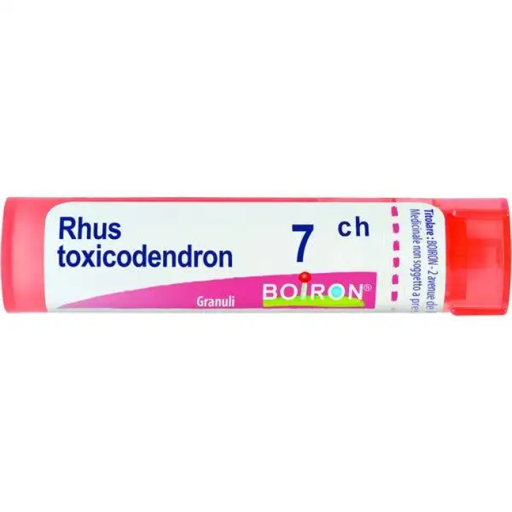 Rhus toxicodendron 7ch 80gr 4g