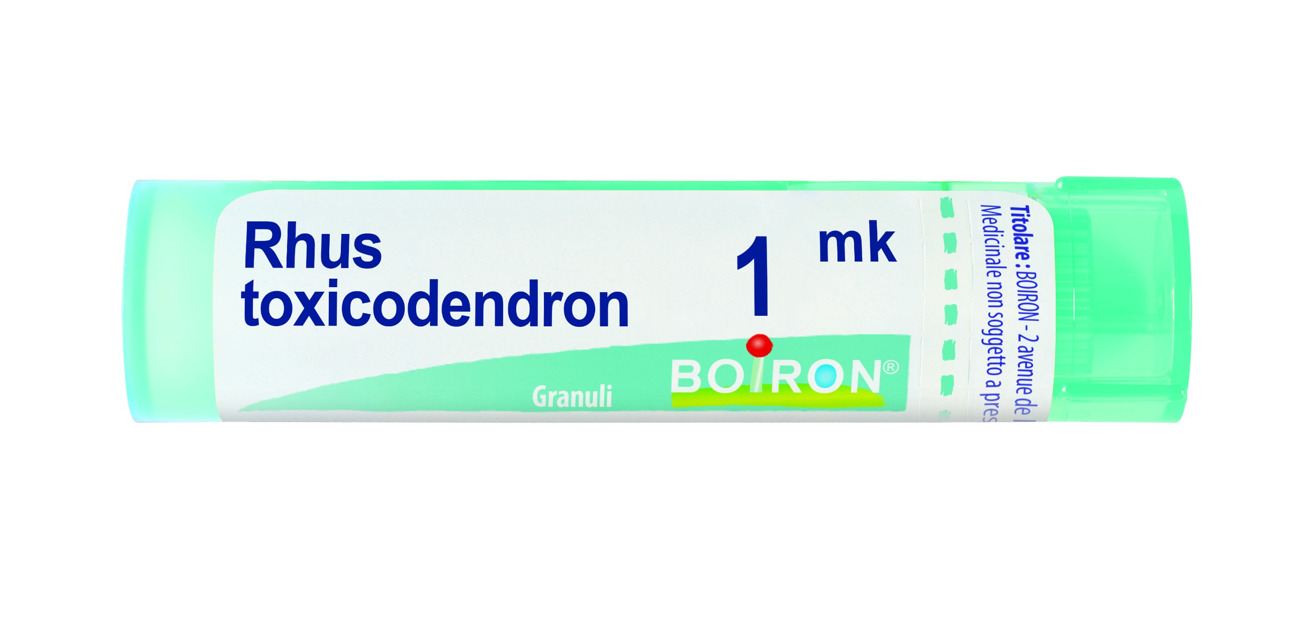 Rhus toxicodendron 1000k 80gr