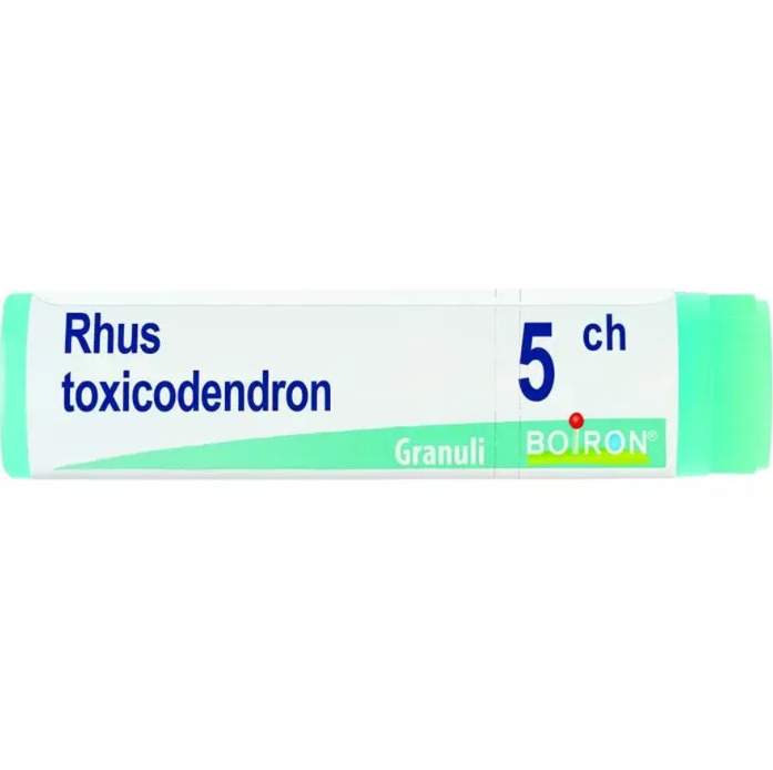 RHUS TOXICODENDRON*5CH GL 1G