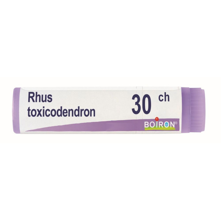 Rhus toxicodendron 30ch gl 1g