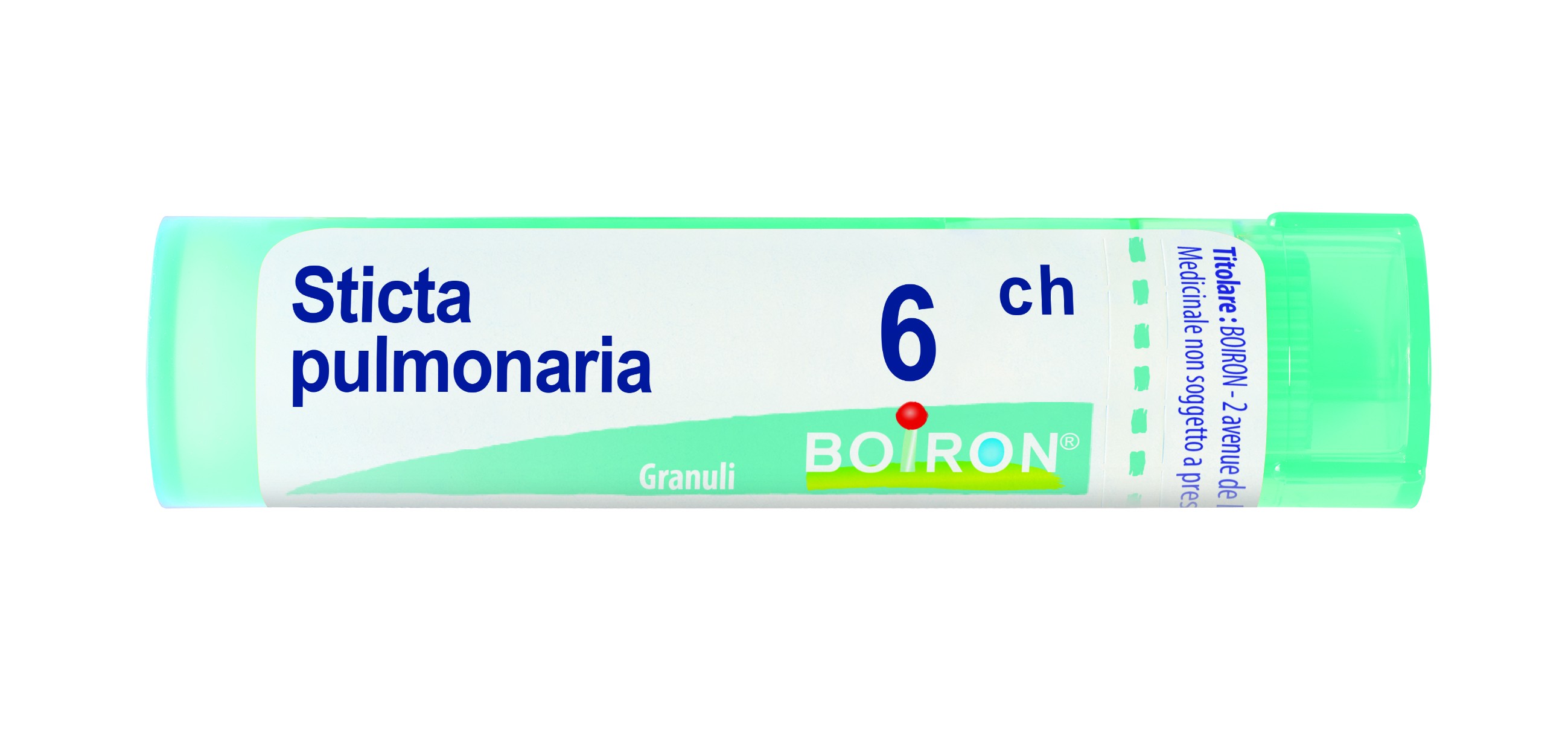 Sticta pulm boi 6ch 80gr 4g