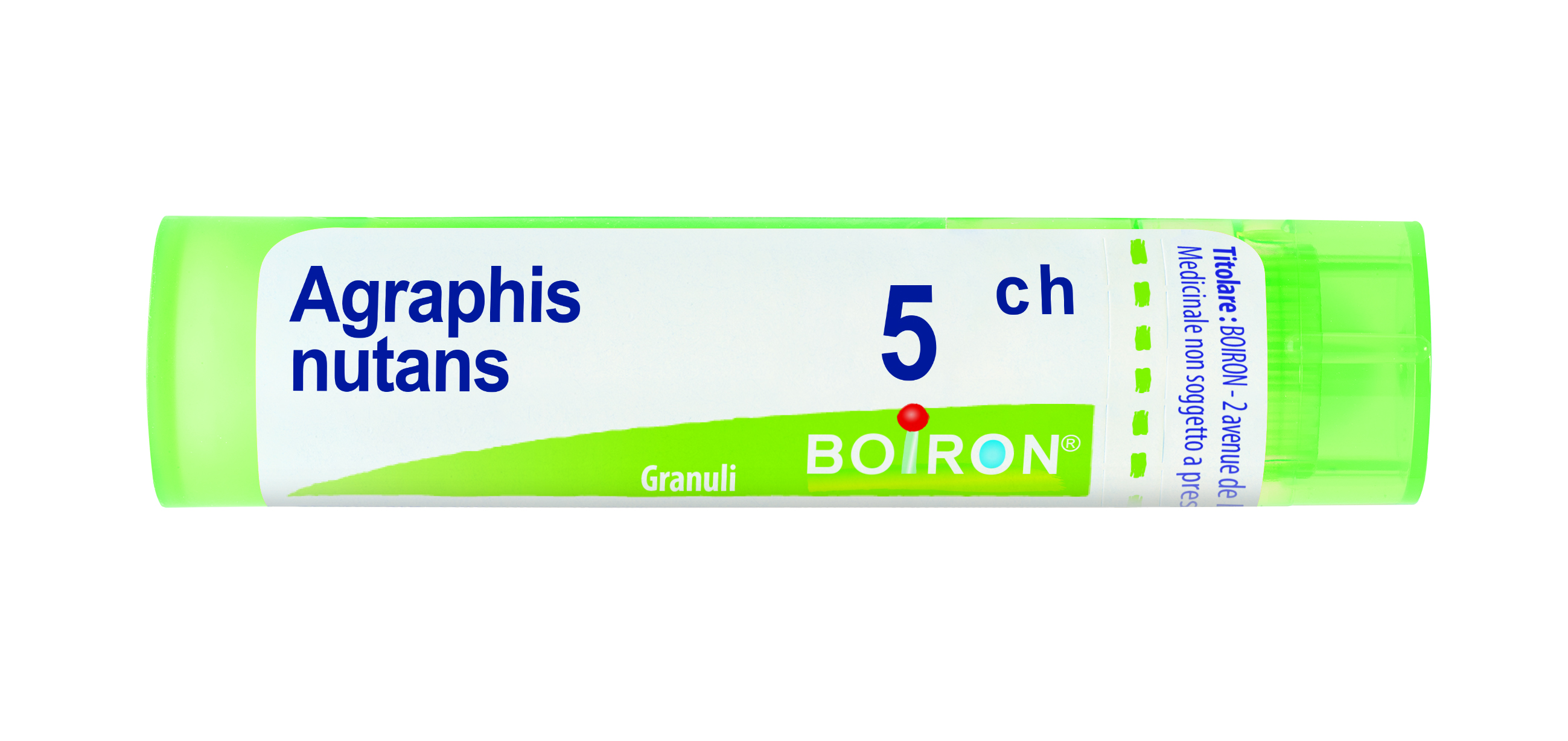 AGRAPHIS NUT BOI*5CH 80GR 4G — confronto prezzi
