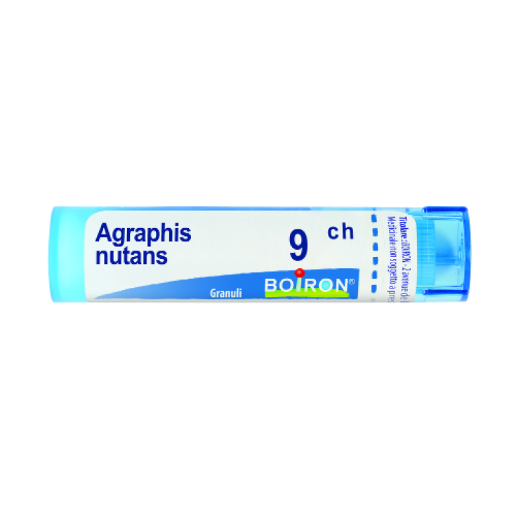 Agraphis nut boi 9ch 80gr 4g