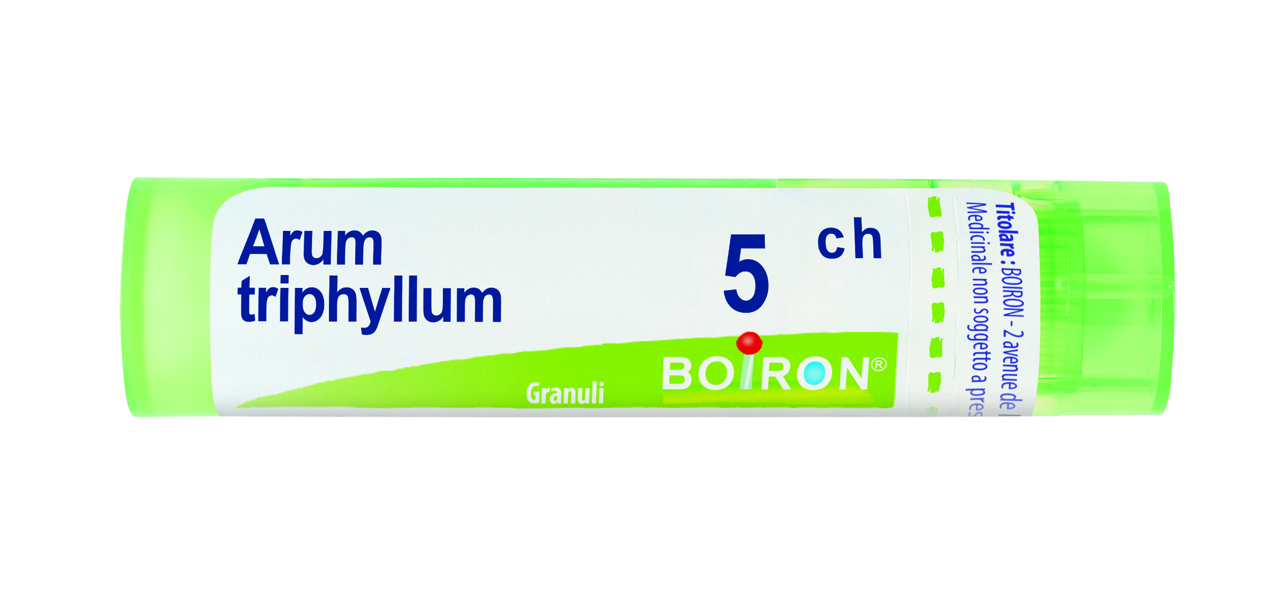 ARUM TRIPHYL BOI*5CH 80GR 4G