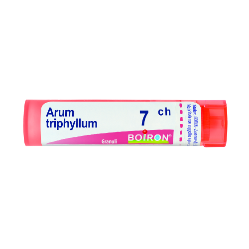ARUM TRIPHYL BOI*7CH 80GR 4G