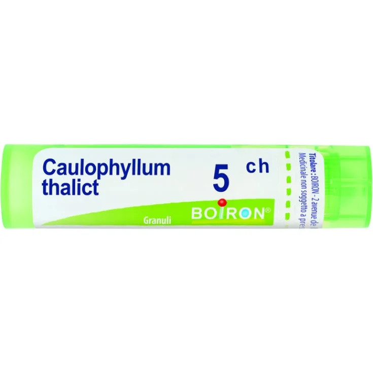 Caulophyllum thalictroides 5ch