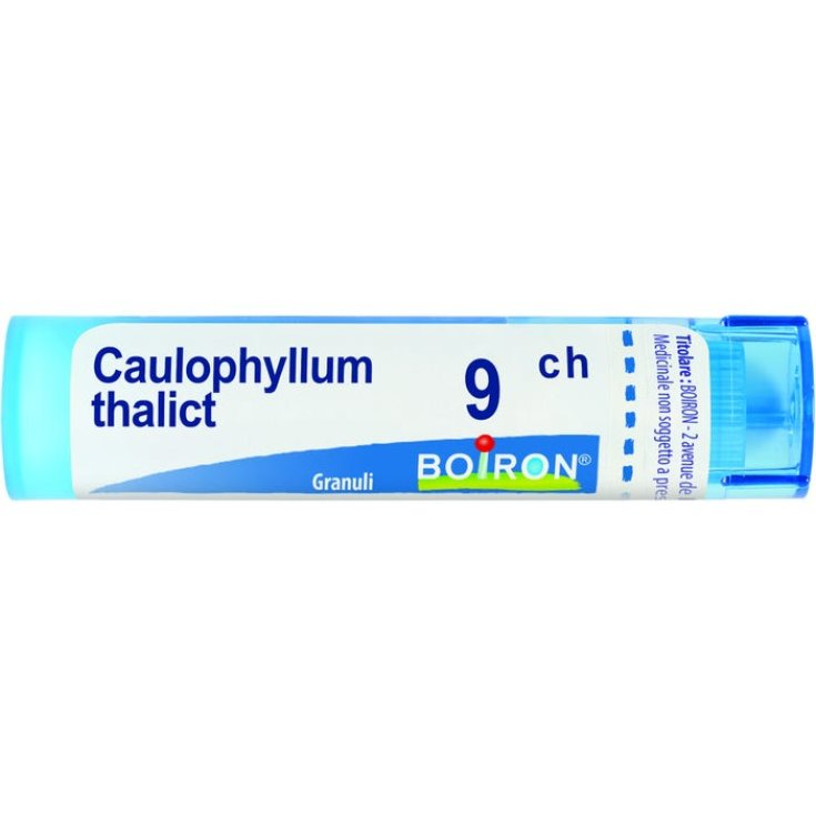 Caulophyllum boi 9ch 80gr 4g