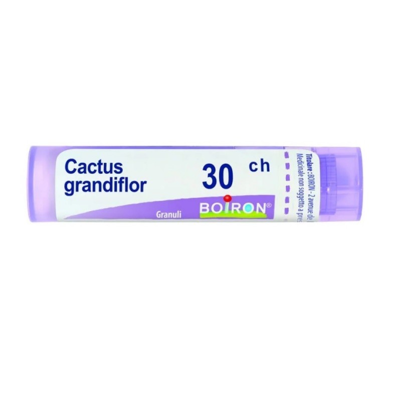 BO.CACTUS GRANDIFLORUS*30CH 80