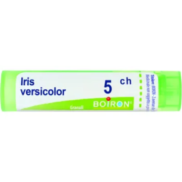 Iris versic boi 5ch 80 gr 4 g