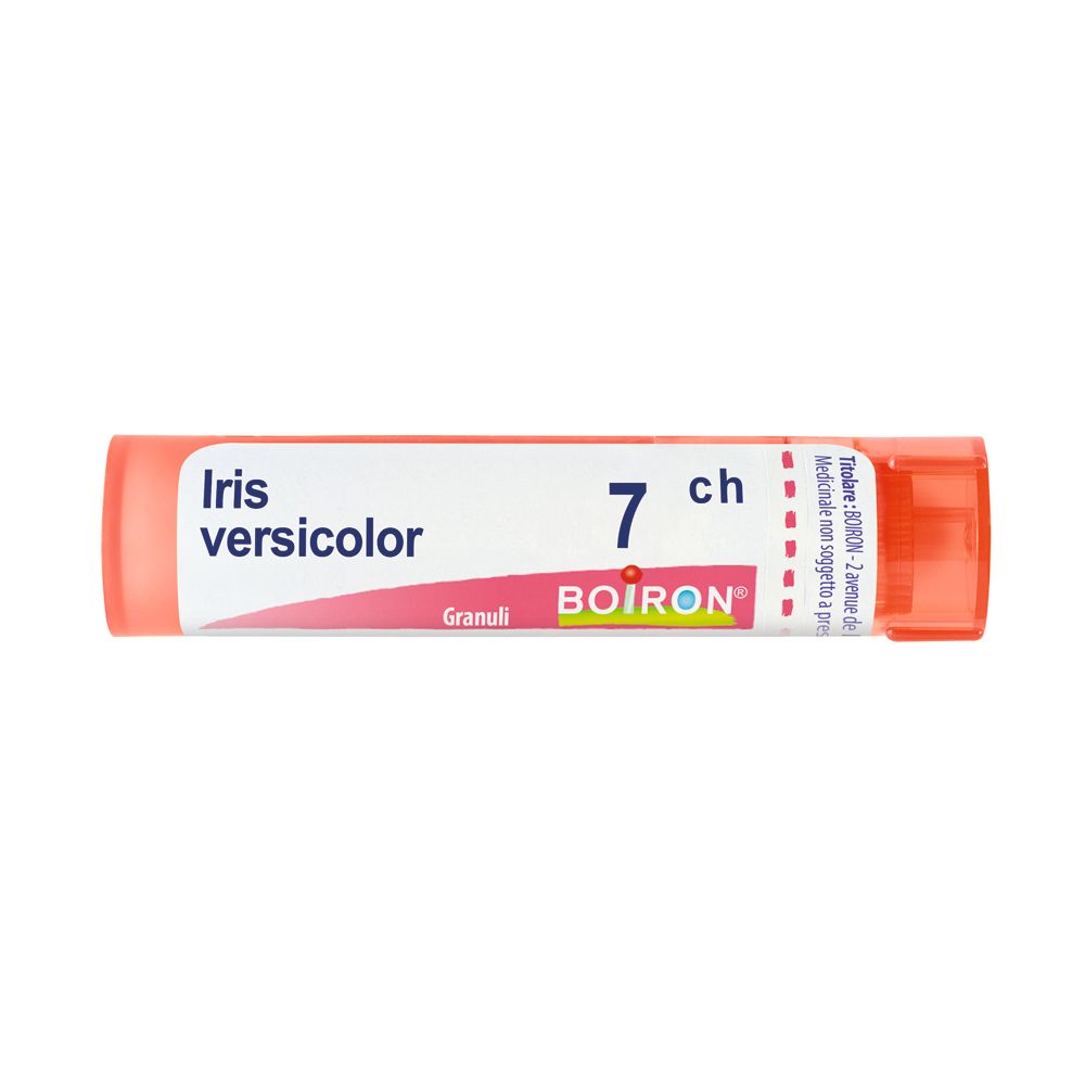 Iris Versicolor*7Ch 80Gr 4G 4 g Granuli