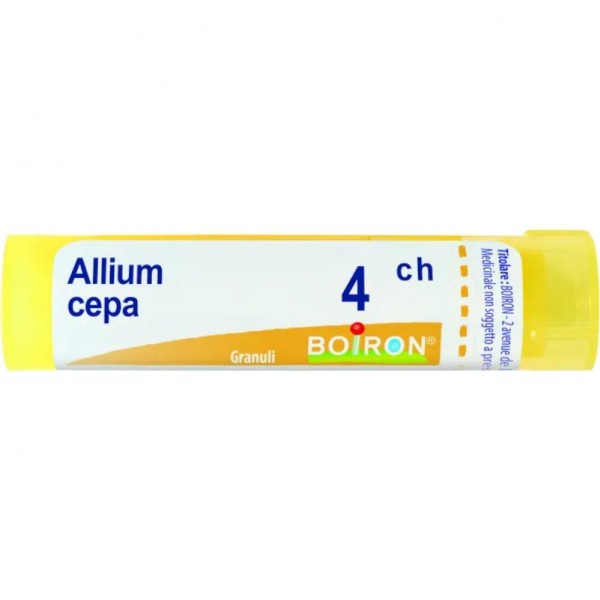 Allium cepa boi 4ch 80gr 4g