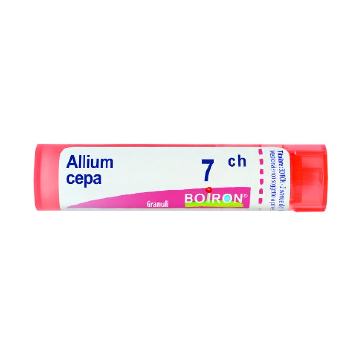 BO.ALLIUM CEPA Tubo 7CH