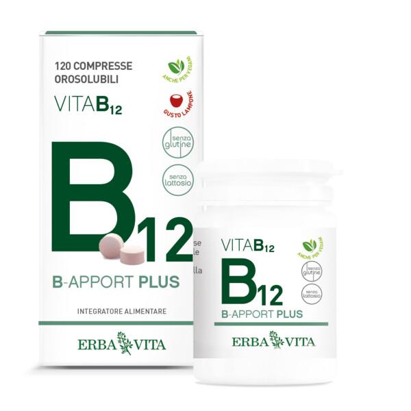 Erba Vita B-Apport Plus Integratore Vitamina B 24 g — confronto prezzi
