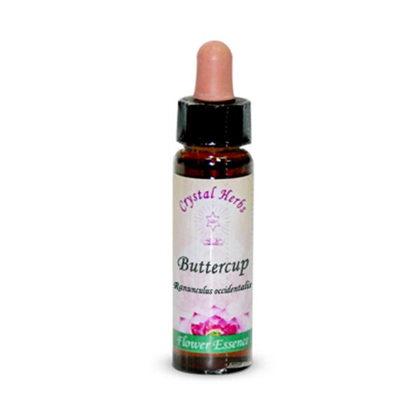 Buttercup ess 7,4ml calf — confronto prezzi
