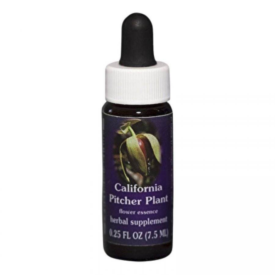 CALIFORNIA PITCHER 7,5ML CALF — confronto prezzi