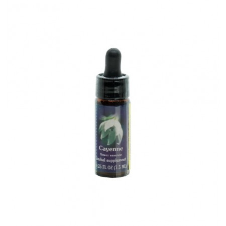 CAYENNE ESS 7,5ML CALF — confronto prezzi