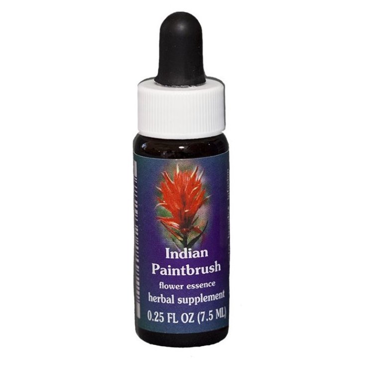 Indian paintbrush 7,4ml calf — confronto prezzi