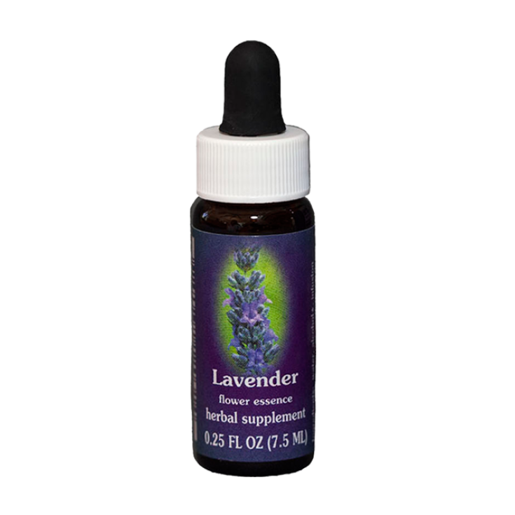 Lavender ess 7,4ml calf