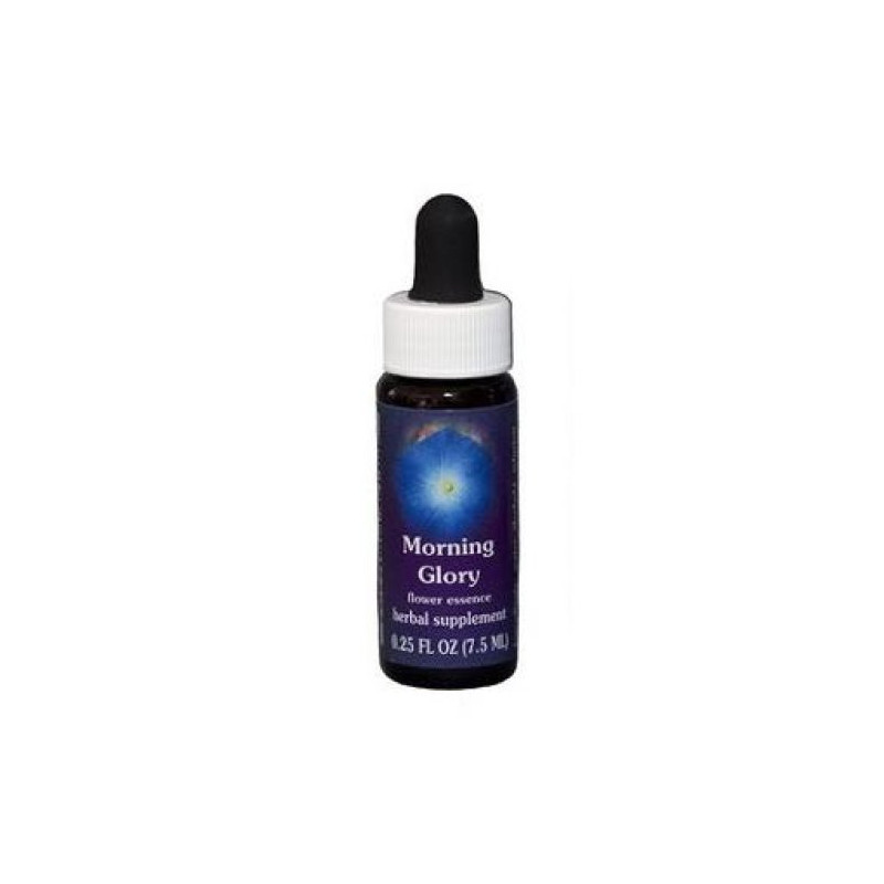 MORNING GLORY ESS 7,4ML CALF — confronto prezzi
