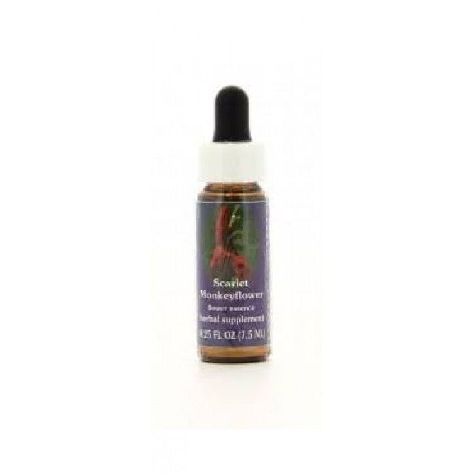SCARLET MONKEYFLOWER 7,4MLCALF — confronto prezzi
