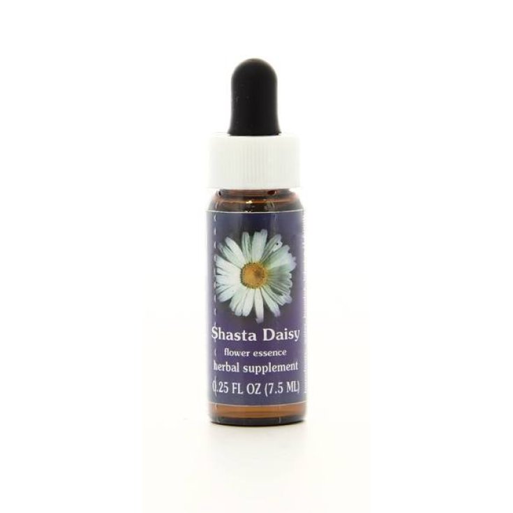 Natur Shasta Daisy Essenza Californiana 7,4 ml